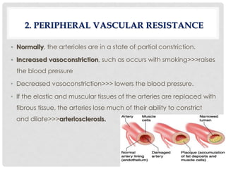• Normally, the arterioles are in a state of partial constriction.
• Increased vasoconstriction, such as occurs with smoking>>>raises
the blood pressure
• Decreased vasoconstriction>>> lowers the blood pressure.
• If the elastic and muscular tissues of the arteries are replaced with
fibrous tissue, the arteries lose much of their ability to constrict
and dilate>>>arteriosclerosis.
2. PERIPHERAL VASCULAR RESISTANCE
 