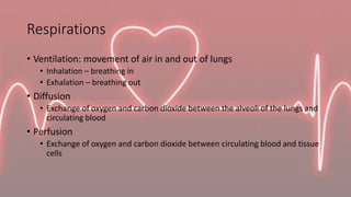 Respirations
• Ventilation: movement of air in and out of lungs
• Inhalation – breathing in
• Exhalation – breathing out
•...