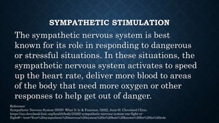 SYMPATHETIC STIMULATION
Sympathetic nervous system uses chemicals called
neurotransmitters to communicate. Specifically,
t...