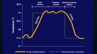 NURSING
INTERVENTIONS
FOR FEVER
 