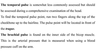 Pulse In Head VITAL SIGNS, WOUND NSC 202_113214.pptxi | PPTX