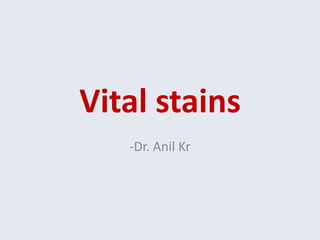 Vital stains
-Dr. Anil Kr
 