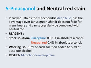 Vital staining ppt notes | PPTX