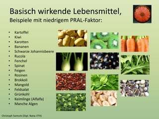 Basisch wirkende Lebensmittel,
Beispiele mit niedrigem PRAL-Faktor:
• Kartoffel
• Kiwi
• Karotten
• Bananen
• Schwarze Johannisbeere
• Rucola
• Fenchel
• Spinat
• Feigen
• Rosinen
• Brokkoli
• Mangold
• Feldsalat
• Grünkohl
• Keimlinge (Alfalfa)
• Manche Algen
 