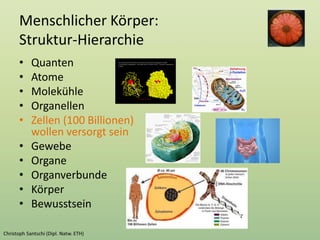 Menschlicher Körper:
Struktur-Hierarchie
• Quanten
• Atome
• Molekühle
• Organellen
• Zellen (100 Billionen)
wollen versorgt sein
• Gewebe
• Organe
• Organverbunde
• Körper
• Bewusstsein
 
