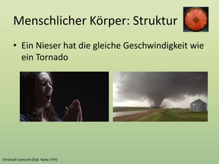 Menschlicher Körper: Struktur
• Ein Nieser hat die gleiche Geschwindigkeit wie
ein Tornado
 