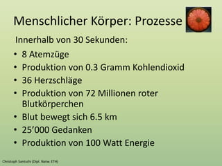 Menschlicher Körper: Prozesse
• 8 Atemzüge
• Produktion von 0.3 Gramm Kohlendioxid
• 36 Herzschläge
• Produktion von 72 Millionen roter
Blutkörperchen
• Blut bewegt sich 6.5 km
• 25’000 Gedanken
• Produktion von 100 Watt Energie
Innerhalb von 30 Sekunden:
 
