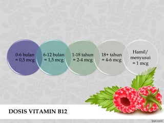 DOSIS VITAMIN B12
0-6 bulan
= 0,5 mcg
6-12 bulan
= 1,5 mcg
1-18 tahun
= 2-4 mcg
18+ tahun
= 4-6 mcg
Hamil/
menyusui
= 1 mcg
 