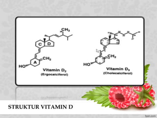 STRUKTUR VITAMIN D
 