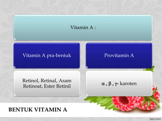 BENTUK VITAMIN A
Vitamin A :
Vitamin A pra-bentuk
Retinol, Retinal, Asam
Retinoat, Ester Retinil
Provitamin A
 ,  , - karoten
 