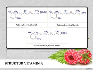 STRUKTUR VITAMIN A
 