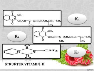 STRUKTUR VITAMIN K
K1
K2
K3
 