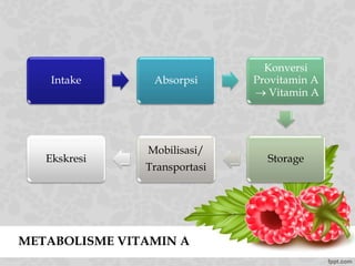 METABOLISME VITAMIN A
Intake Absorpsi
Konversi
Provitamin A
 Vitamin A
Storage
Mobilisasi/
Transportasi
Ekskresi
 