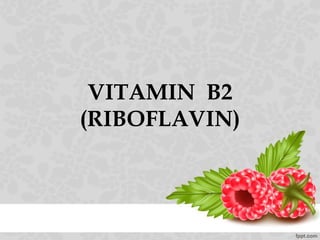 VITAMIN B2
(RIBOFLAVIN)
 