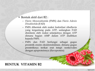 BENTUK VITAMIN B2
• Bentuk aktif dari B2 :
– Flavin Mononukleatida (FMN) dan Flavin Adenin
Dinukleotida (FAD)
– FMN dibentuk oleh reaksi fosforilasi riboflavin
yang tergantung pada ATP, sedangkan FAD
disintesis oleh reaksi selanjutnya dengan ATP
dimana bagian AMP dalam ATP dialihkan
kepada FMN.
– FMN dan FAD berfungsi sebagai gugus
prostetik enzim oksidoreduktase, dimana gugus
prostetiknya terikat erat tetapi nonkovalen
dengan apoproteinnya (flavoprotein)
 