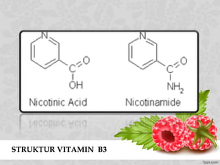 STRUKTUR VITAMIN B3
 