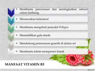 MANFAAT VITAMIN B3
*
• Membantu pencernaan dan meningkatkan sekresi
cairan lambung
*
• Menurunkan kolesterol
*
• Membantu mengobati penyakit Pellagra
*
• Menstabilkan gula darah
*
• Mendukung pemrosesan genetik di dalam sel
*
• Membantu tubuh memproses lemak
 