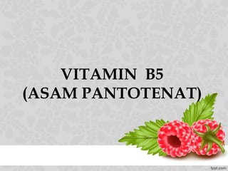 VITAMIN B5
(ASAM PANTOTENAT)
 