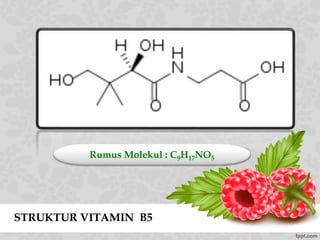 STRUKTUR VITAMIN B5
Rumus Molekul : C9H17NO5
 