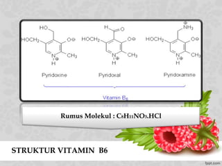 STRUKTUR VITAMIN B6
Rumus Molekul : C8H11NO3.HCl
 