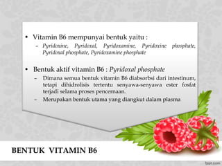BENTUK VITAMIN B6
• Vitamin B6 mempunyai bentuk yaitu :
– Pyridoxine, Pyridoxal, Pyridoxamine, Pyridoxine phosphate,
Pyridoxal phosphate, Pyridoxamine phosphate
• Bentuk aktif vitamin B6 : Pyridoxal phosphate
– Dimana semua bentuk vitamin B6 diabsorbsi dari intestinum,
tetapi dihidrolisis tertentu senyawa-senyawa ester fosfat
terjadi selama proses pencernaan.
– Merupakan bentuk utama yang diangkut dalam plasma
 