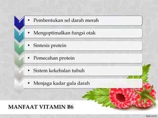 MANFAAT VITAMIN B6
*
• Pembentukan sel darah merah
*
• Mengoptimalkan fungsi otak
*
• Sintesis protein
*
• Pemecahan protein
*
• Sistem kekebalan tubuh
*
• Menjaga kadar gula darah
 