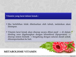 METABOLISME VITAMIN
Vitamin yang larut dalam lemak :
• Jika berlebihan tidak dikeluarkan oleh tubuh, melainkan akan
disimpan.
• Vitamin larut lemak akan diserap secara difusi pasif → di dalam
dinding usus digabungkan dengan kilomikron (lipoprotein) →
diserap sistem limfatik → bergabung dengan saluran darah untuk
ditransportasikan ke hati.
 