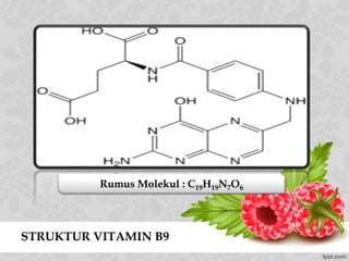 STRUKTUR VITAMIN B9
Rumus Molekul : C19H19N7O6
 
