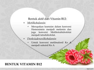 BENTUK VITAMIN B12
Bentuk aktif dari Vitamin B12:
• Metilkobalamin
• Merupakan koenzim dalam konversi
Homosistein menjadi metionin dan
juga konversi Metiltetrahidrofolat
menjadi tetrafidrofolat.
• Deoksiadenosilkobalamin
• Untuk konversi metilmalonil Ko A
menjadi suksinil Ko A
 