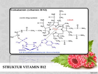 STRUKTUR VITAMIN B12
 