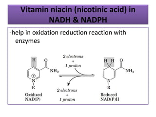 Vitamin niacin (nicotinic acid) in
NADH & NADPH
-help in oxidation reduction reaction with
enzymes
 