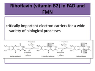 Riboflavin (vitamin B2) in FAD and
FMN
critically important electron carriers for a wide
variety of biological processes
 