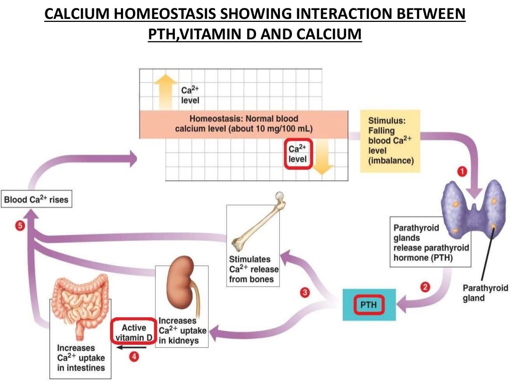 VITAMIN D AND HYPERPARATHYROIDISM