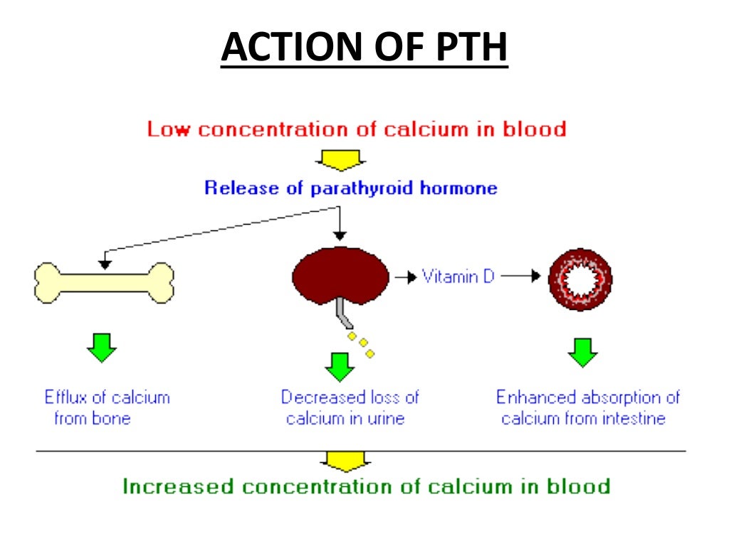 VITAMIN D AND HYPERPARATHYROIDISM
