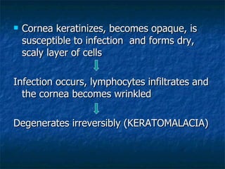 Cornea keratinizes, becomes opaque, is susceptible to infection  and forms dry, scaly layer of cells Infection occurs, lymphocytes infiltrates and the cornea becomes wrinkled Degenerates irreversibly (KERATOMALACIA) 