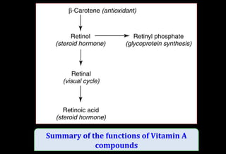 Summary of the functions of Vitamin A
compounds
 