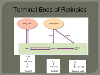 Terminal Ends of Retinoids
 