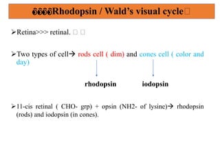 👀👀Rhodopsin / Wald’s visual cycle🏻
Retina>>> retinal. 🏻 🏻
Two types of cell rods cell ( dim) and cones cell ( color and
day)
rhodopsin iodopsin
11-cis retinal ( CHO- grp) + opsin (NH2- of lysine) rhodopsin
(rods) and iodopsin (in cones).
 