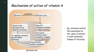 z
Mechanism of action of vitamin A
11
 Eg: retinoids control
the expression of
the gene of keratin
in most epithelial
tissues of the body
Retinoic acid
Retinol
oxidation
Specific
receptor proteins
Epithelial cell
Activated
retinoic acid-
receptor complex
Interact with
nuclear chromatin
To regulate retinoid-
specific RNA
synthesis
Control the
production of
specific proteins
 