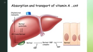 zAbsorption and transport of vitamin A …cnt
10
RBP
Retinyl
pulmitate
All-trans-Retinol
Retinol- RBP
complex
Retinol Retinol
Chylomicron
remnants
RBP
 