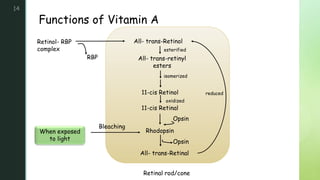 zFunctions of Vitamin A
14
Retinol- RBP
complex
All- trans-Retinol
RBP
Retinal rod/cone
All- trans-retinyl
esters
11-cis Retinol
11-cis Retinal
Rhodopsin
All- trans-Retinal
Opsin
Opsin
When exposed
to light
Bleaching
reduced
esterified
isomerized
oxidized
 