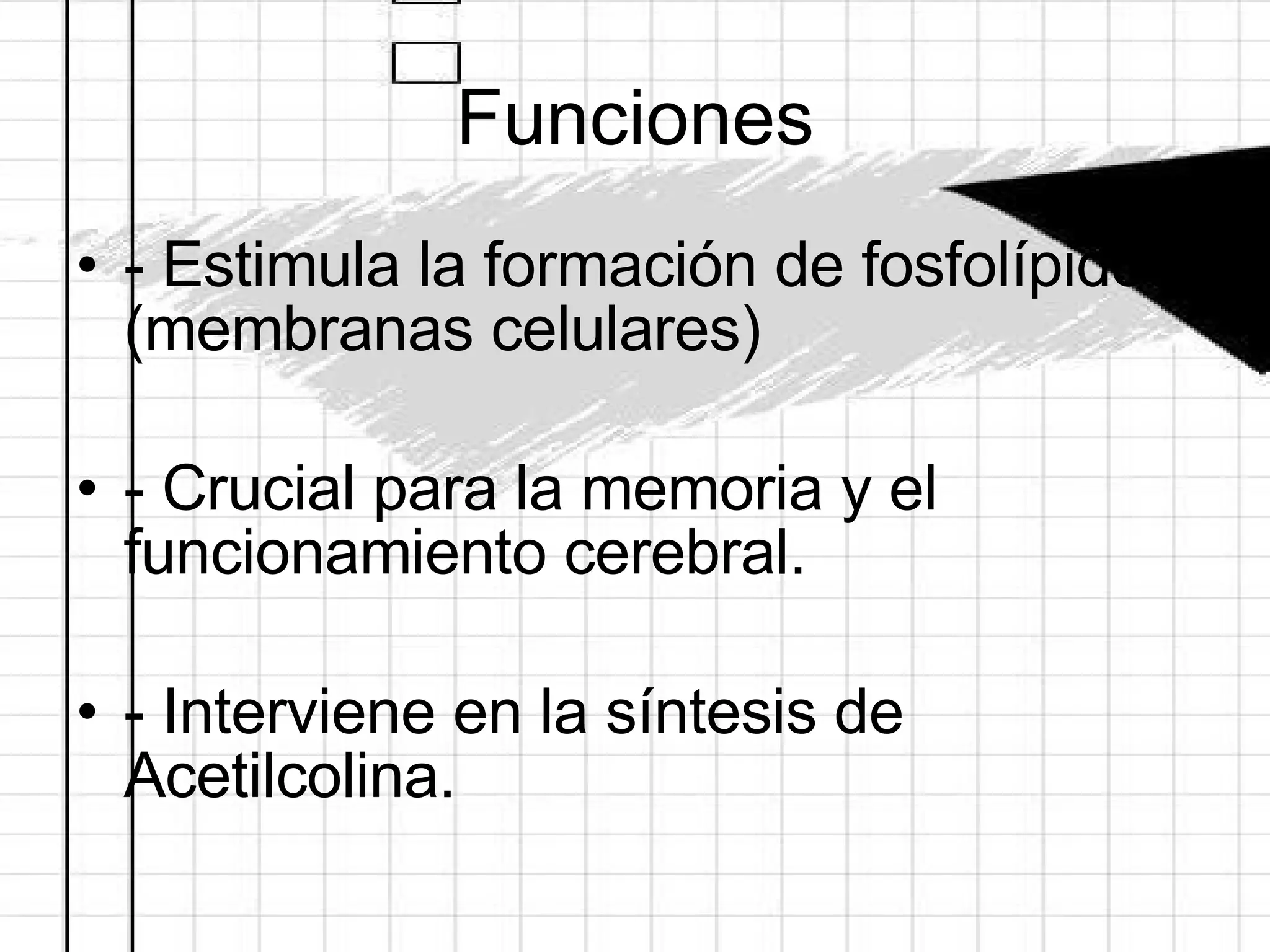 Funciones - Estimula la formación de fosfolípidos (membranas celulares) - Crucial para la memoria y el funcionamiento cerebral. - Interviene en la síntesis de Acetilcolina. 