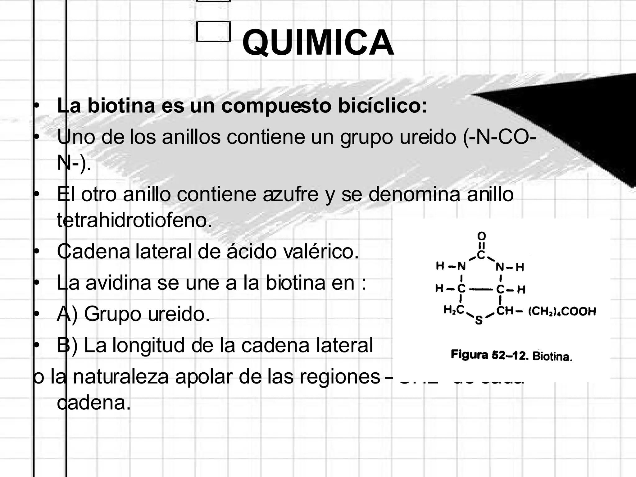 QUIMICA La biotina es un compuesto bicíclico:  Uno de los anillos contiene un grupo ureido (-N-CO-N-). El otro anillo contiene azufre y se denomina anillo tetrahidrotiofeno. Cadena lateral de ácido valérico. La avidina se une a la biotina en : A) Grupo ureido. B) La longitud de la cadena lateral  o la naturaleza apolar de las regiones –CH2- de cada cadena. 