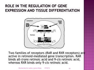 Retinoate Rxr Rar Rare Vitamin A chemistry, functions and deficiency | PPT
