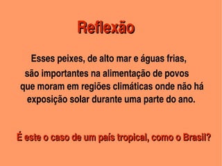        Reflexão
       Esses peixes, de alto mar e águas frias,     
          são importantes na alimentação de povos               
        que moram em regiões climáticas onde não há 
           exposição solar durante uma parte do ano. 

       
       É este o caso de um país tropical, como o Brasil?
                             
                                

    
 