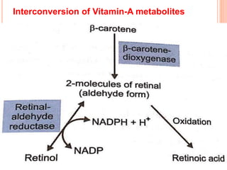Interconversion of Vitamin-A metabolites
 
