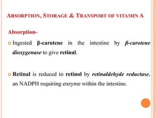 ABSORPTION, STORAGE & TRANSPORT OF VITAMIN A
Absorption-
 Ingested β-carotene in the intestine by β-carotene
dioxygenase to give retinal.
 Retinal is reduced to retinol by retinaldehyde reductase,
an NADPH requiring enzyme within the intestine.
 