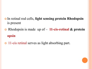 In retinal rod cells, light sensing protein Rhodopsin
is present
 Rhodopsin is made up of – 11-cis-retinal & protein
opsin
 11-cis retinal serves as light absorbing part.
 