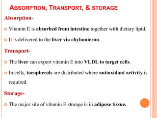 ABSORPTION, TRANSPORT, & STORAGE
Absorption-
 Vitamin E is absorbed from intestine together with dietary lipid.
 It is delivered to the liver via chylomicron.
Transport-
 The liver can export vitamin E into VLDL to target cells.
 In cells, tocopherols are distributed where antioxidant activity is
required.
Storage-
 The major site of vitamin E storage is in adipose tissue.
 