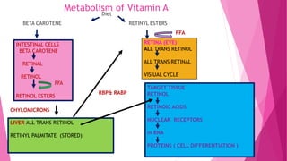 Vitamin A and its clinical applications | PDF